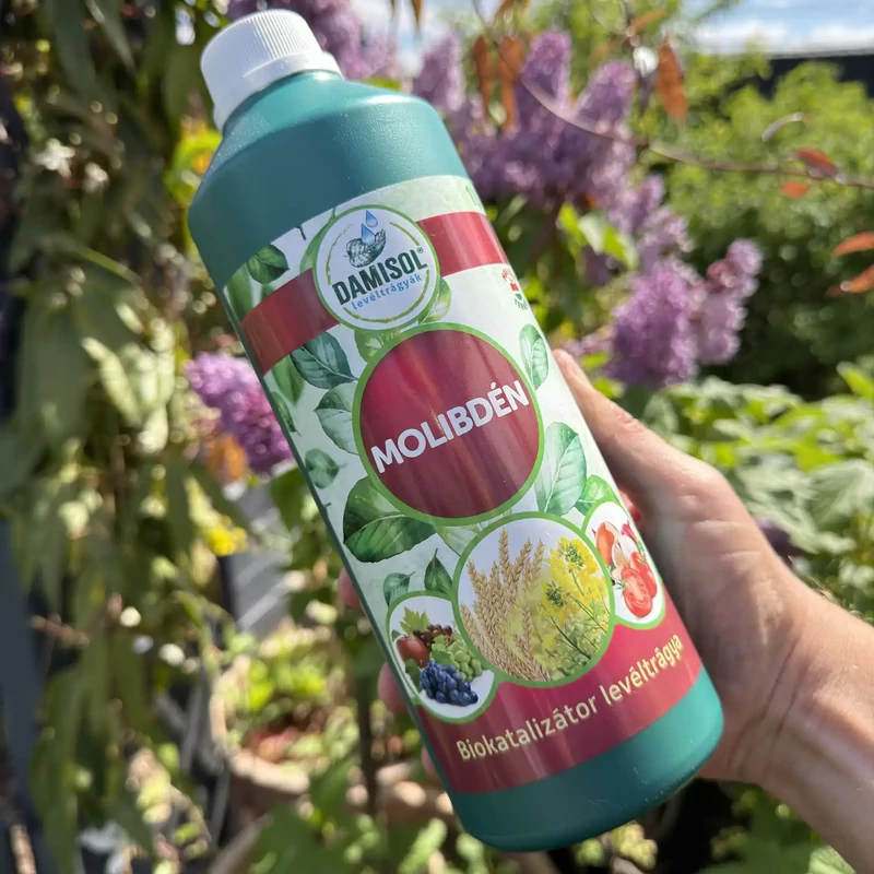 Damisol Molibdén biokatalizátor levéltrágya - 1 l