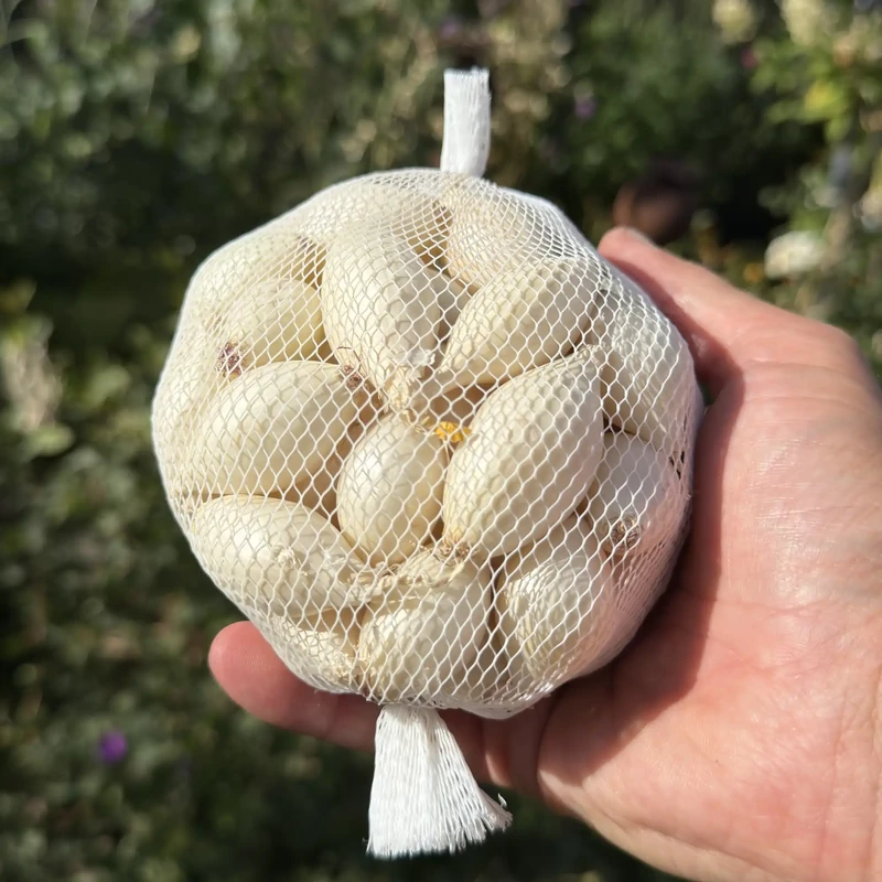 Dughagyma őszi fehér makói 300g