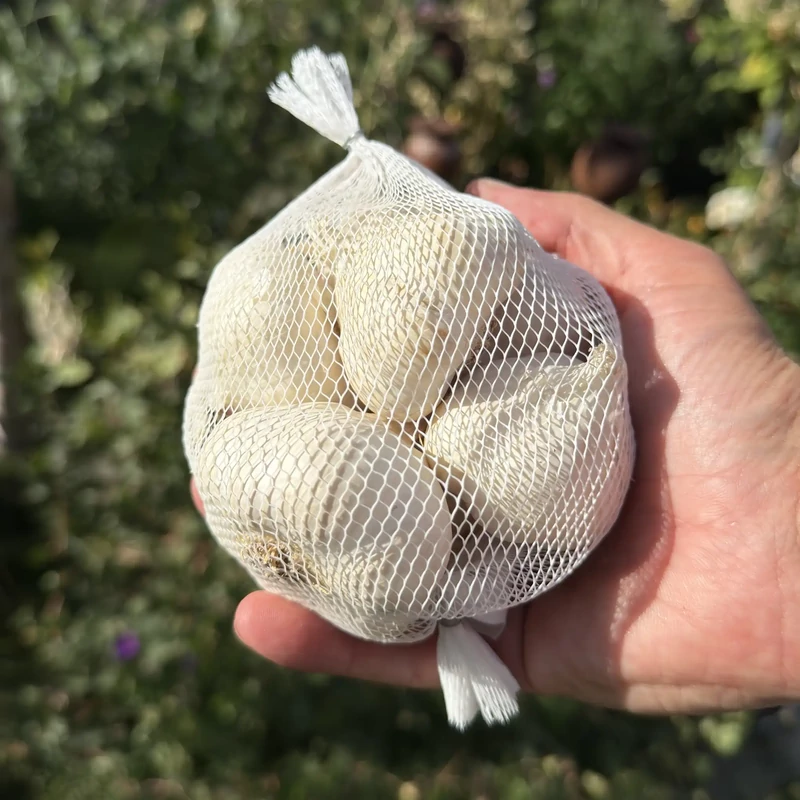 Fokhagyma őszi makói 250g