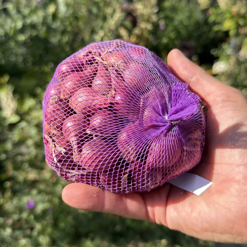 Dughagyma őszi lilahagyma 300g