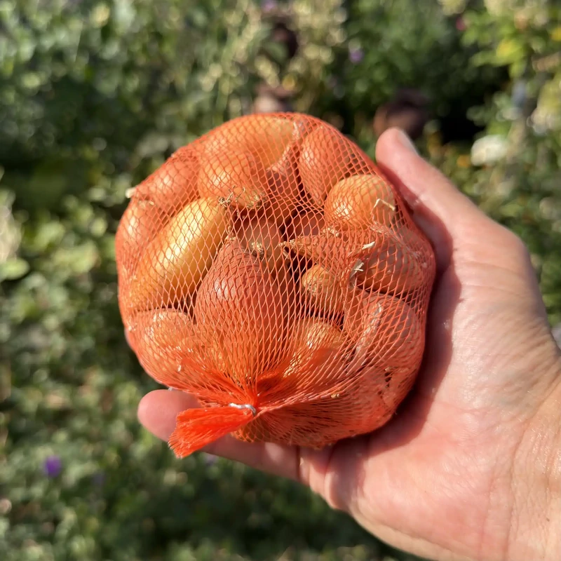 Dughagyma őszi stuttgarti 300g