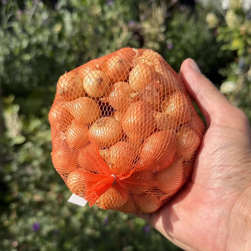 Dughagyma őszi makói 300g