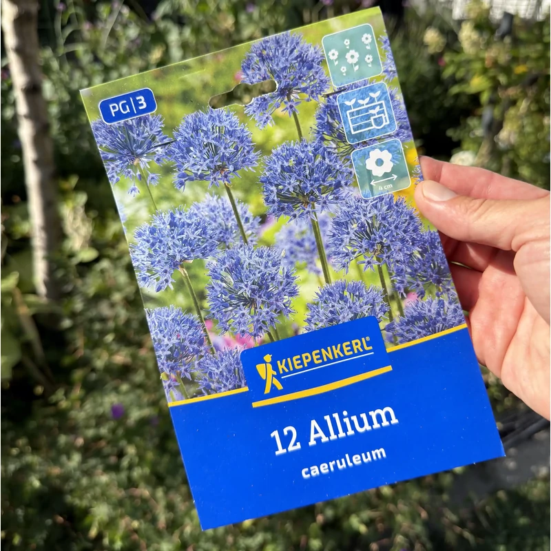 Kiepenkerl égkék díszhagyma caeruleum – 12 db