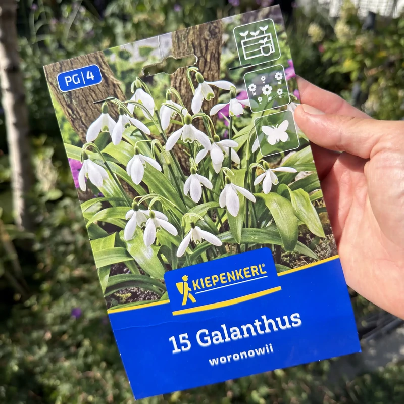 Kiepenkerl - Hóvirág Galanthus woronowii 15db