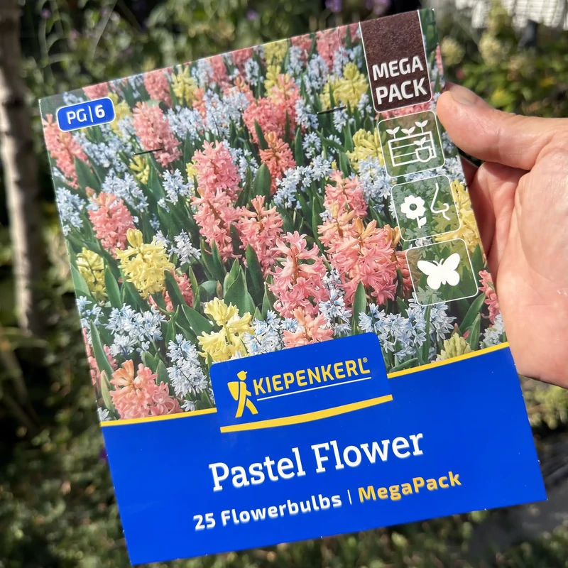 Kiepenkerl jácint-puskinia Pastel Flower – 25 db