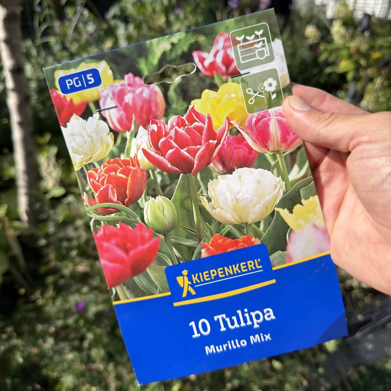 Kiepenkerl korai teltvirágú tulipán Murillo Mix – 10 db
