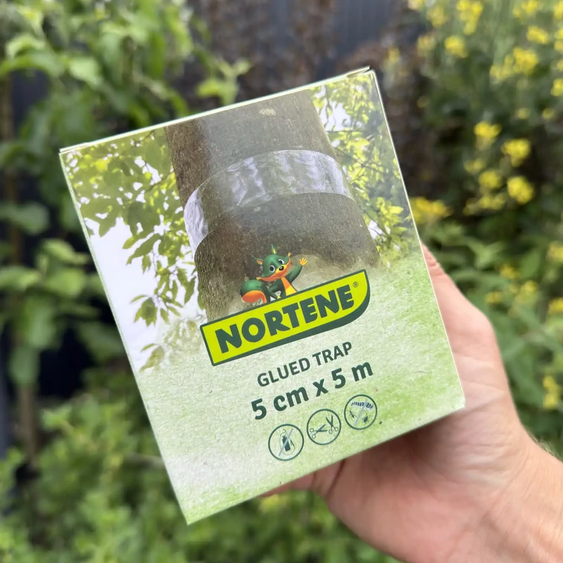 Nortene - Glued Trap ragacsos csík