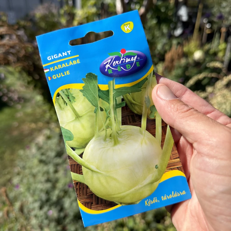 Rédei - Karalábé Gigant 2g