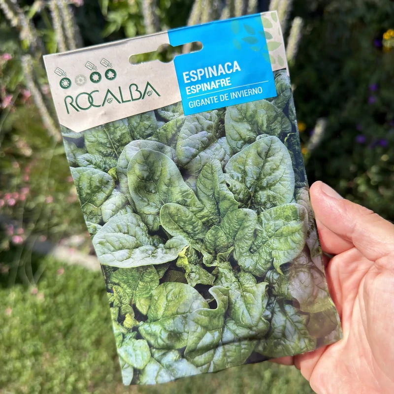 Rocalba - Spenót Gigante de Invierno 10g