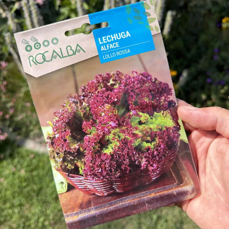 Rocalba - Tépősaláta Lollo Rossa 6g