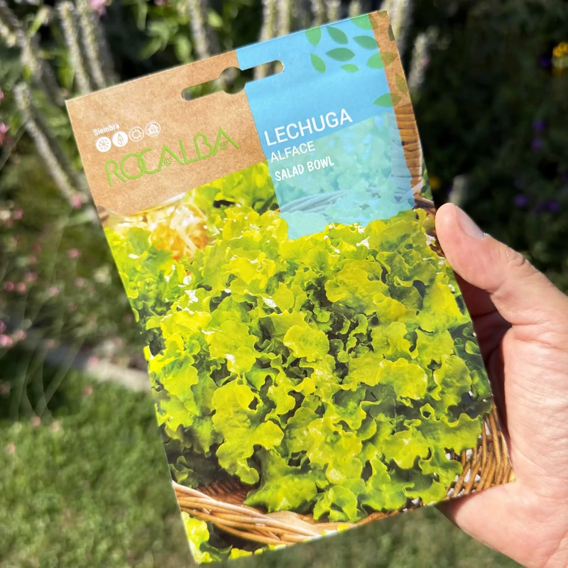 Rocalba - Tépősaláta Salad Bowl tölgylevelű 6g