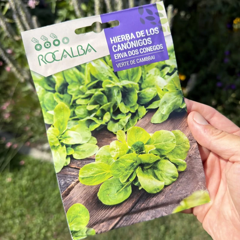 Rocalba - Madársaláta Verte de Cambrai 6g