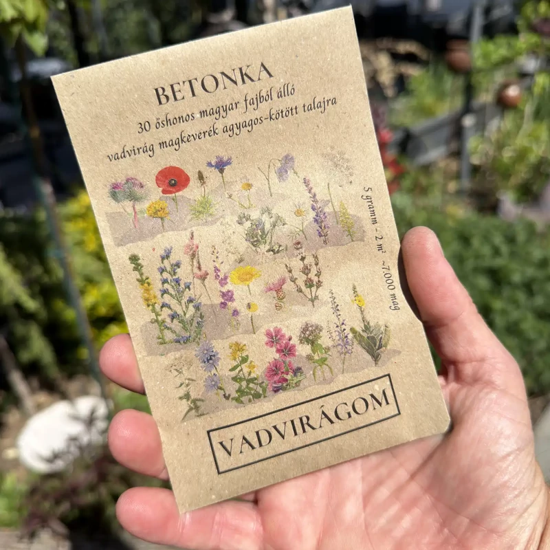 Vadvirágom - Betonka virágmag keverék